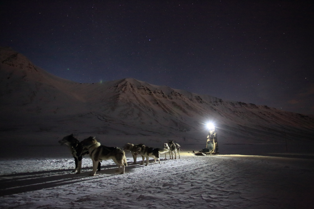 Dogsledding in Svalbard